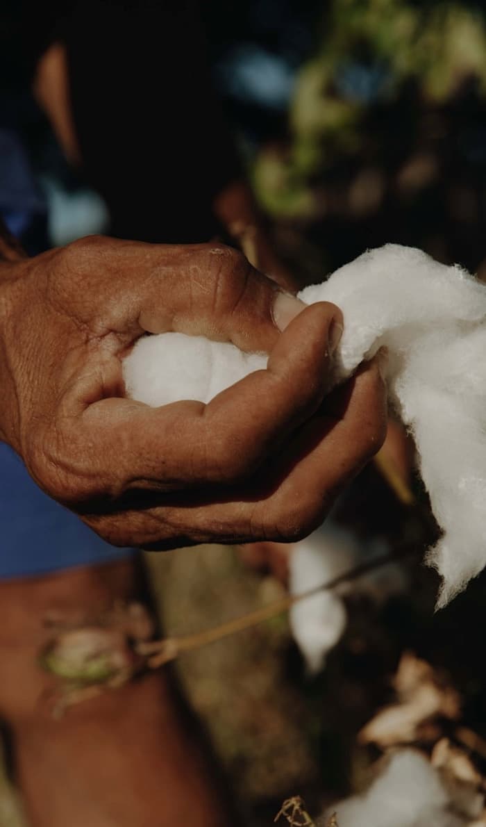 Natural cotton